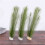 12X Aquarium Decorations Fish Tank Artificial Gree 6