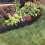Garden Lawn Edging - 40 Pack Landscape Border Flex 6