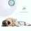 Purificateur d'air rechargeable pour litière pour chats 6