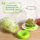 6PCS Sprouting Kit Sprout Jars Lids Mesh for Wide Mouth Indoor Microgr 6