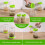 6PCS Sprouting Kit Sprout Jars Lids Mesh for Wide Mouth Indoor Microgr 7