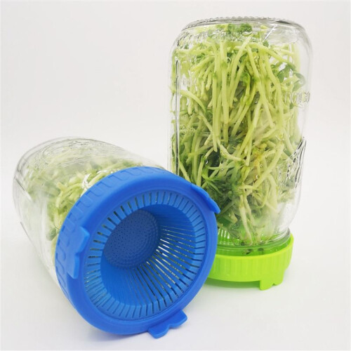 6PCS Sprouting Kit Sprout Jars Lids Mesh for Wide Mouth Indoor Microgr 2