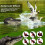 Floating Alligator Head,Alligator Head Decoy for Pool,Alligator Swimmi 7