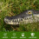 Floating Alligator Head,Alligator Head Decoy for Pool,Alligator Swimmi 9