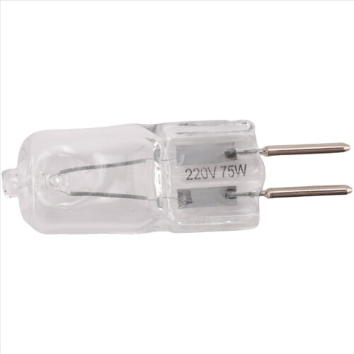 Ampoule de lampe flash 75 W 220 V pour studio photo, stroboscope compact 2