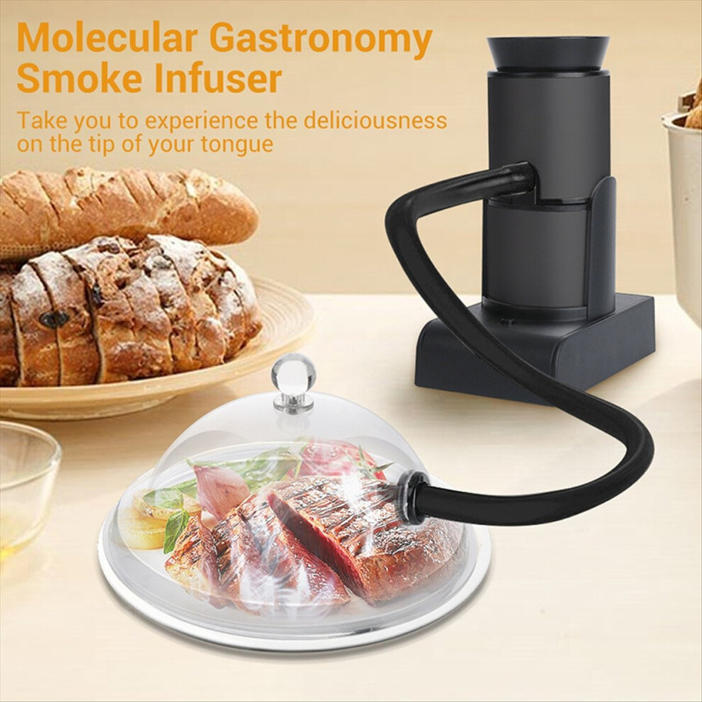 BORUIT Pistolet à Fumée Portable – Infuseur De Saveur Fumée Pour Cocktails, Viandes, Fromages Et BBQ (avec Briquet Et Copeaux De Bois)