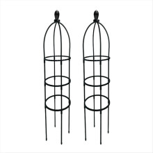 Klimplanten obelisk trellis, tuinwijnstokstandaard, bloementoren, 2 stuks (B)