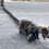 Dog Traction Rope Simulation Thick Chain Big Iron Funny Prank Walking 5