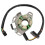 32101-37F00 32101-37F10 Statorspole til RM250 2001-2006 RM250Z RM 250 Generatorspole 3