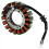 Generatorstatorspole 21003-132 til VN1500 2000-2004 521003-1356 5
