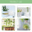 Pires para plantas, pacote com 10 unidades de 30 cm (12 polegadas), gotejamento transparente para vasos de flores 4