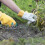 Garden Weeding Teeth, Remover Tool, Hand Uprooting Weeder Multi-Purpose Puller, Puller Tool with Forgeds Steel, A 6