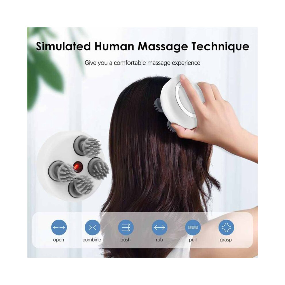 Electric Scalp Massager, Portable Head Massager for Hair Growth, Handheld Hair Massager with 4 Massage Heads