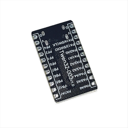 Avanceret RISC V-processormodul TWEN32F003-udviklingskort 2