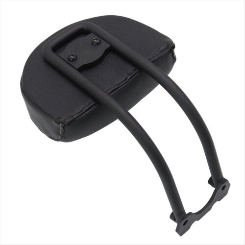 Modified Passenger Rear Backrest Kit for S 2021- 2