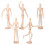 5-pack kunstfiguurmodel - 12 inch houten mannequin 1