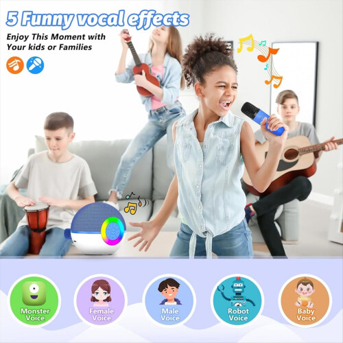 Mini karaokemachine luidspreker, draagbare Bluetooth-microfoon met liedjes, C 2