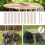 25Pcs Coppers Nails Tree Stump KillersBulk Stump Removal Spikes Hardware Nails for Trees Removing Stumps 5