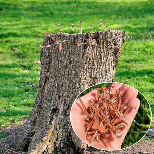 25Pcs Coppers Nails Tree Stump KillersBulk Stump Removal Spikes Hardware Nails for Trees Removing Stumps 2