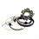 Neu Motorrad Generator Stator Spule für 5