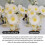 Filtre d'objectif macro 10x pour objectif portrait, accessoire pour caméra d'action Nano 5