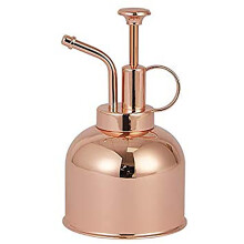 Outil de soin des plantes de style vintage et précis, charme nordique intemporel, vaporisateur pour plantes avec pompe à couvercle en métal,
