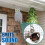 6PCS Owl Bird Repellent Deterrent Hanging Device E 7
