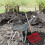 2X Manure Fork Replacement Head, Pitchfork Horse R 8