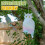 6PCS Owl Bird Repellent Deterrent Hanging Device E 6