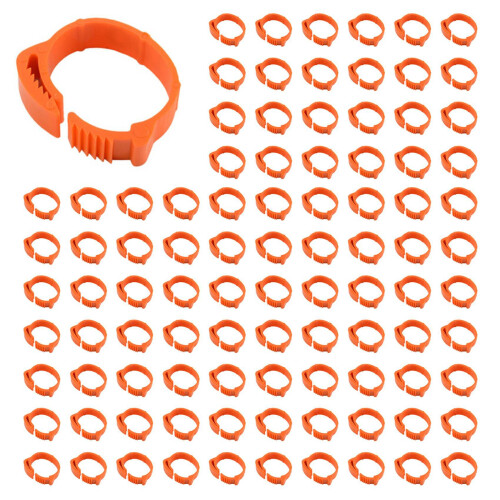 300Pcs Chicken Identification Leg Bands Tags Poult