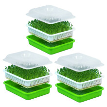 3X Seed Sprouter Tray with Lid Free Bean Sprout Gr
