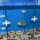 80 Pcs Divider Aquarium Suction Cup Holders for Fi 11