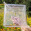 3X Big Size Plastic Clear Heart Square Watermelon 5