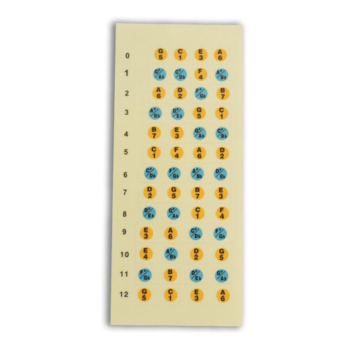 Ukulele Decals Fretboard Note Sticker for Beginner 2