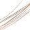 2X 19 String Lyre Harp Small Strings Accessories M 5