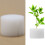 300Pcs/Set Hydroponic Gardening Plant Tools Plante 7