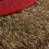 2X Wire Brush Wheel for Bench Grinder Polish + Red 7