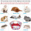 2X Guinea Pig Foldable Playpen Portable Small Anim 5
