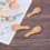 Short Handle 40 Packets of Small Wooden Spoon, Per 8
