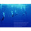 2X Scuba Diving 2Nd Stage Regulator Professional U 11