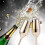 10Pcs Shatterproof Stainless Champagne Glasses Bru 5