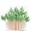 Cocktail Picks Handmade Bamboo Toothpicks 300Pcs 5 6
