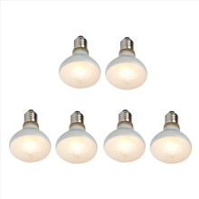 6 Pack Reptile Uvb Uva Heat Lamp Bulb for Reptiles Truly Sun-Like Bright Heat for Reptiles, Amphibian (100 W)