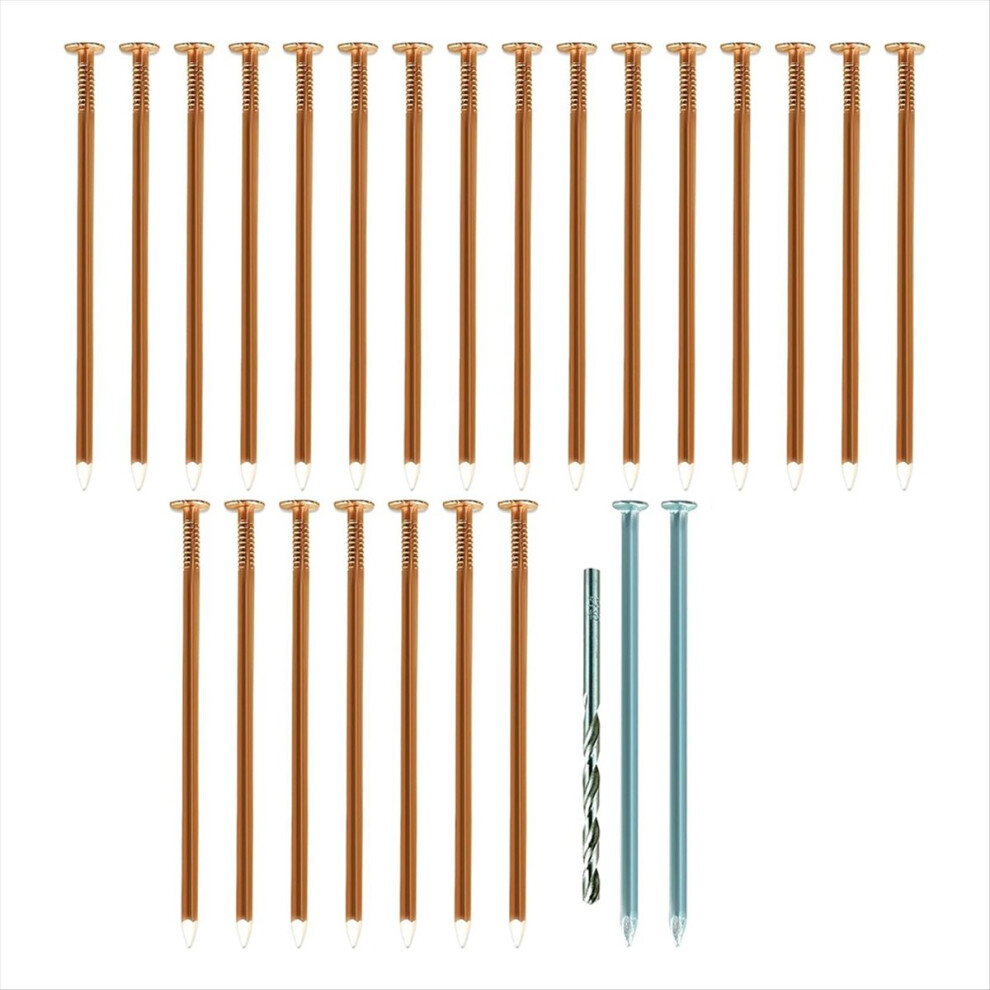 Copper Nails To Killing Trees,3.5 Inch Pure Copper Nails Bulk,Stump Removal Spikes Hardware Nails For Trees 4852423562643