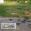 Auto Trap Bird Cage bird Entry Only No Exit Thickened Encrypted Automatic Pigeon 6