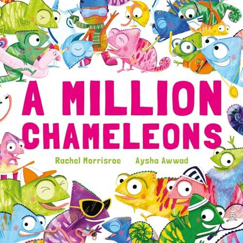 A Million Chameleons by Rachel Morrisroe Paperback Book
