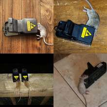 12PCS Mouse Traps Indoor for Home Small Mouse Trap for House Mice Snap Trap Effective Sanitary Quick Mouse Catcher