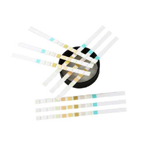 100 Strips URS-10T Urinalysis Reagent Strips 10 Parameters Urine Test Strip 1