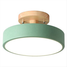 Green Ceiling Lights Modern LED Nordic Wood Lighting Fixture Indoor Luminaire Kitchen Living Bedroom Bathroom