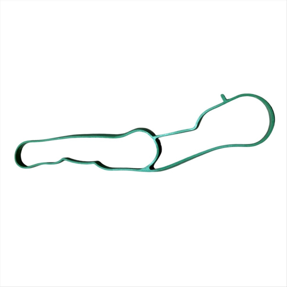 9803918580 Intake Manifold Gasket For C3 C4 Ds3 Ds4 208 2008 3008 5008 4853498932898